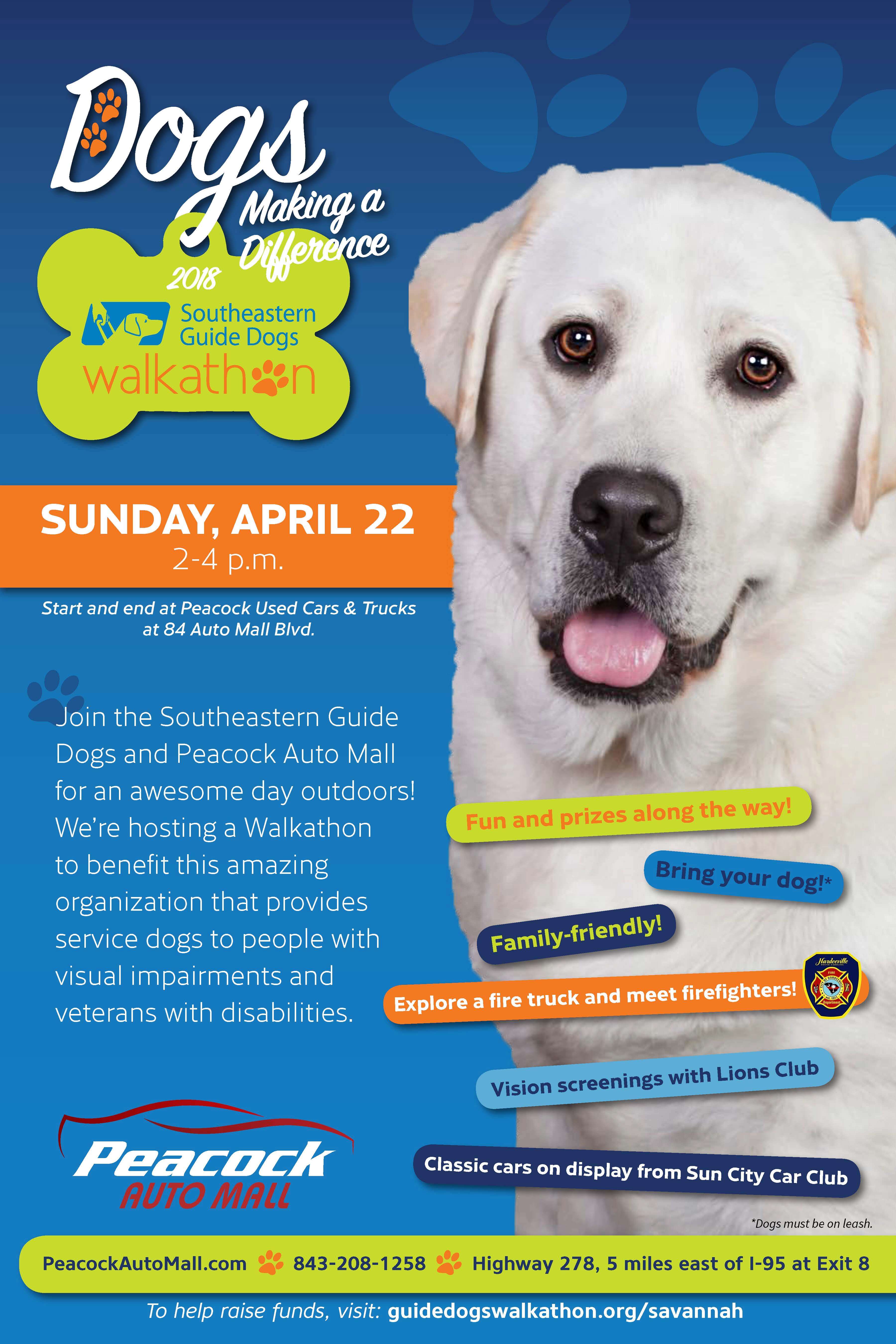 Southeastern Guide Dogs Walkathon at Peacock Automotive